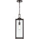 Atless 1 Light 7 inch Powder Coated Bronze Outdoor Pendant
